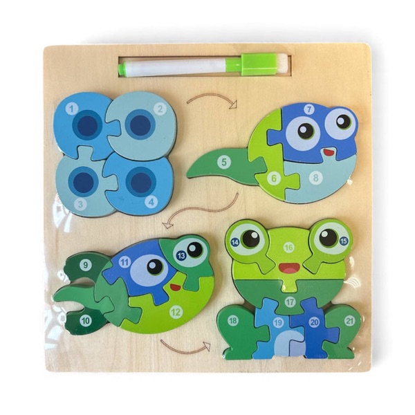 Drewniana układanka ewolucja żabki – puzzle 3w1 z markerem